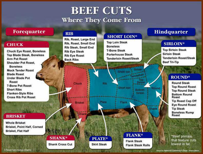 Beef Cuts