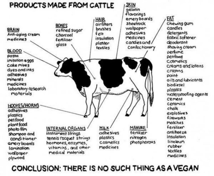 Products Made from Beef Byproducts
